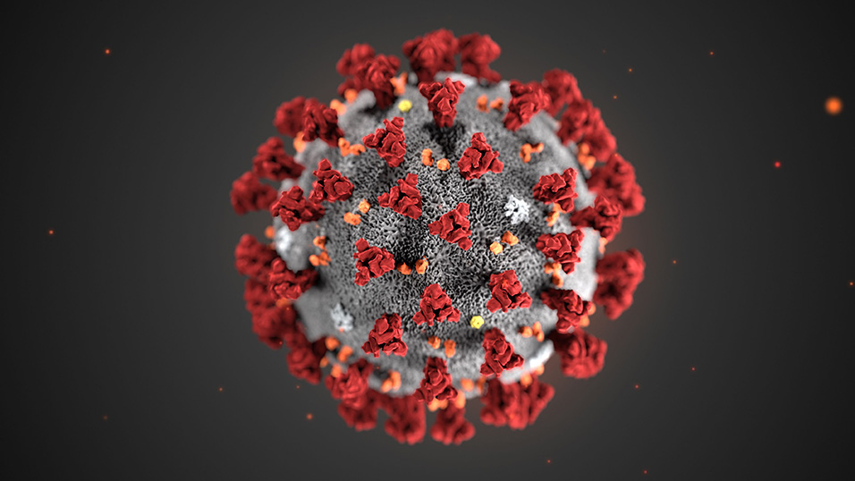 Emergenza Coronavirus: Sospensione delle attività didattiche dal 5 al 15 marzo 2020